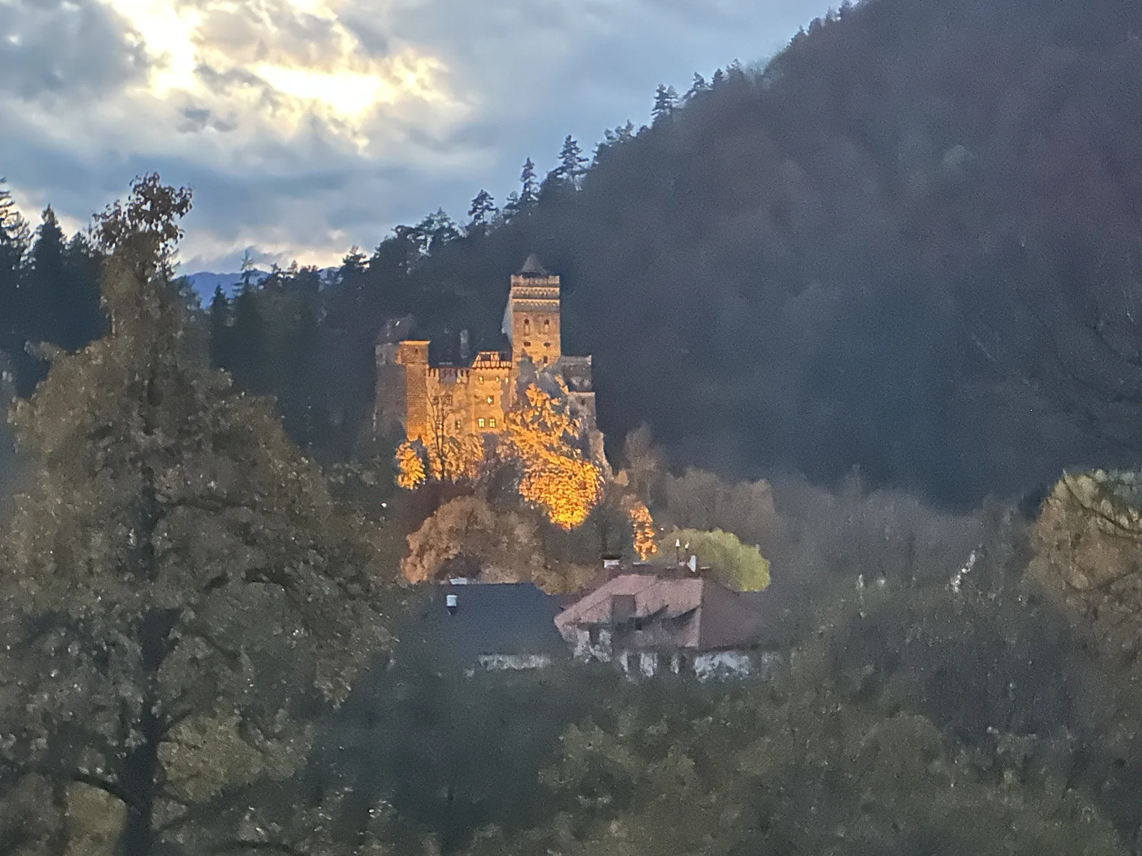 Bran Castle illuminated at dusk, seen across the surrounding wooded landscape.